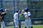 Baseball vs WPI  Wheaton College baseball vs Worcester Polytechnic Institute. - (Photo by Keith Nordstrom) : Wheaton, baseball